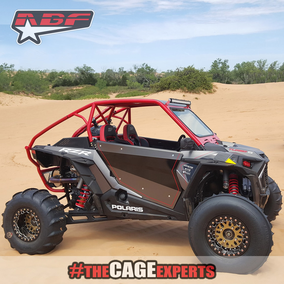 rzr bouncer cage